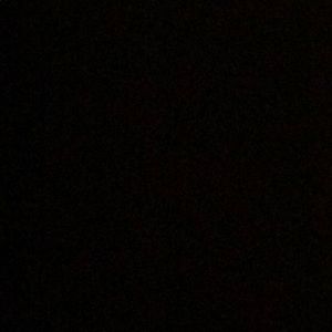 Meet your Posher, Vicky